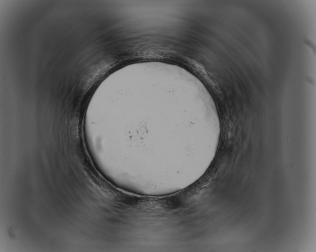 X0000092060299200710101039