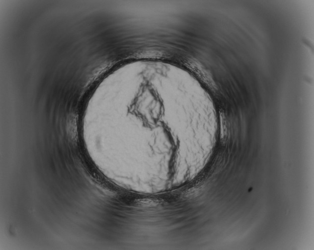 X0000092060300200710101039