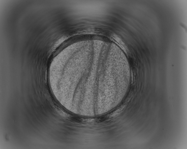 X0000092060301200710101039