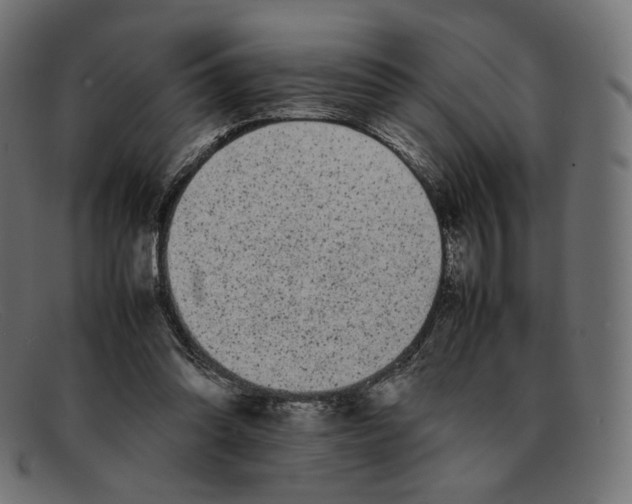 X0000092060302200710101039