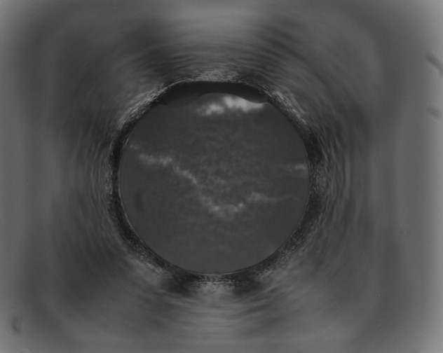 X0000092060303200710101039