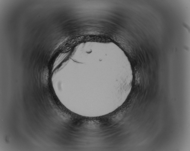 X0000092060304200710101039