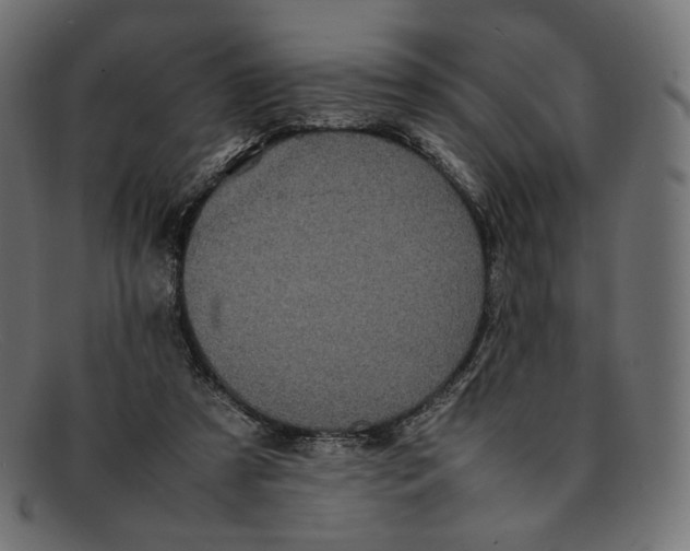 X0000092060305200710101039