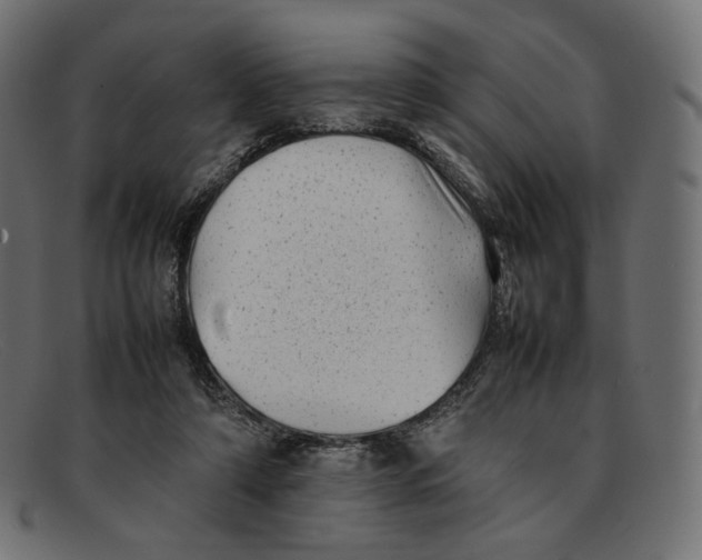 X0000092060306200710101039