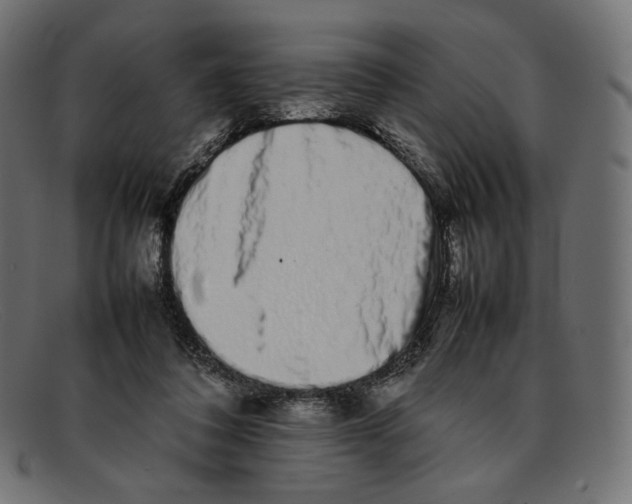 X0000092060308200710101039