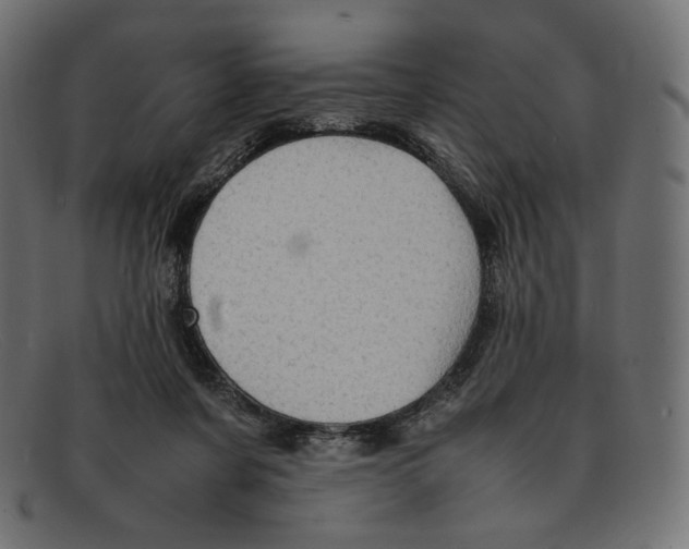 X0000092060311200710101038