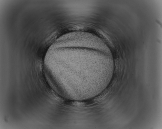 X0000092060313200710101038