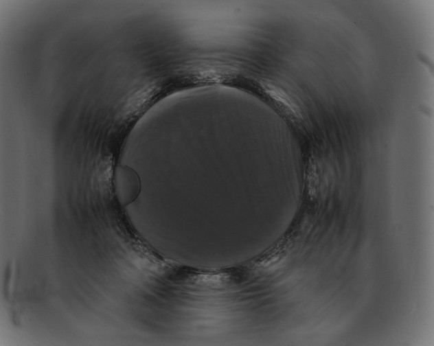 X0000092060314200710101038