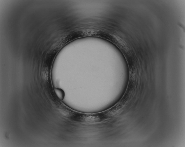 X0000092060315200710101038