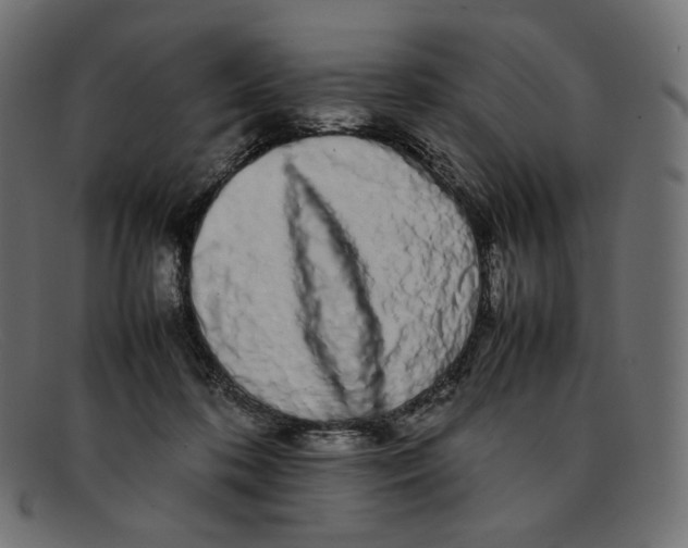 X0000092060316200710101038