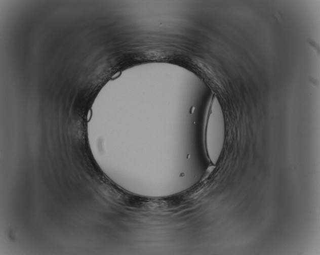 X0000092060317200710101038