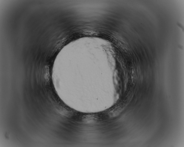 X0000092060320200710101038