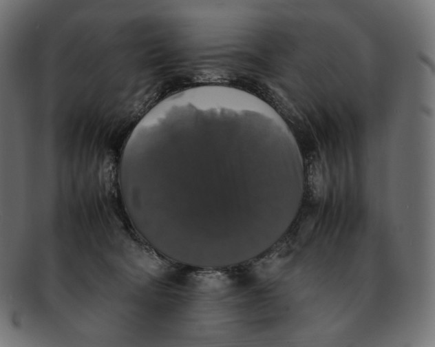 X0000092060322200710101038