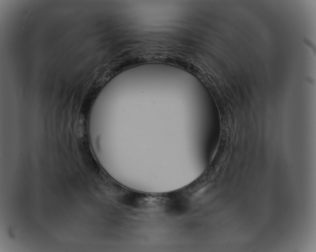 X0000092060323200710101038