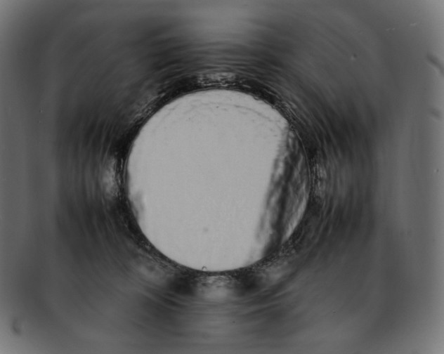 X0000092060324200710101038