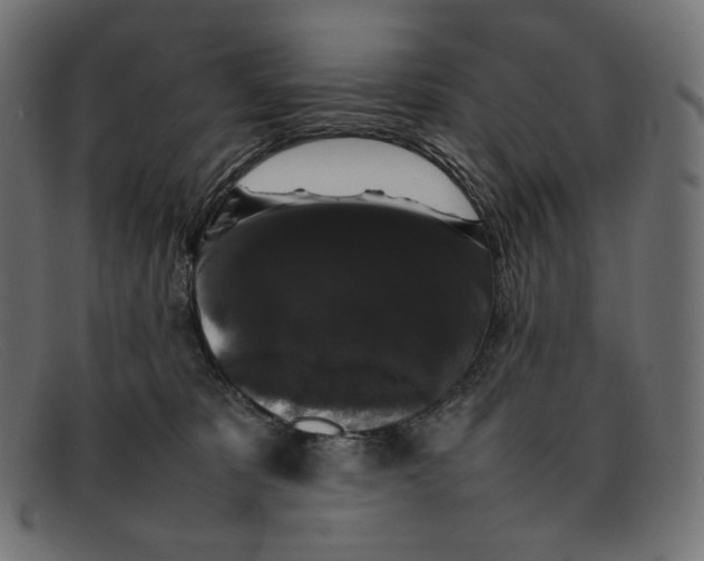 X0000092060325200710101038