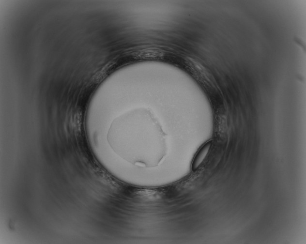 X0000092060326200710101038