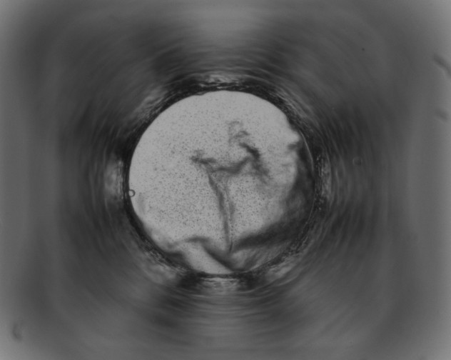 X0000092060328200710101038