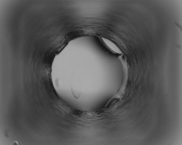 X0000092060329200710101038