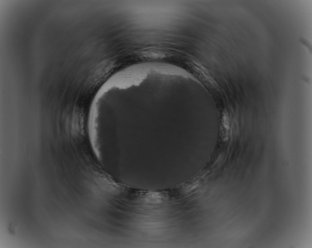 X0000092060330200710101038