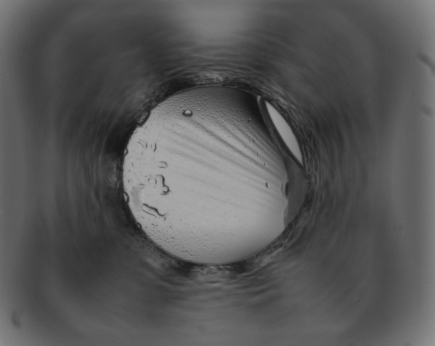 X0000092060331200710101038