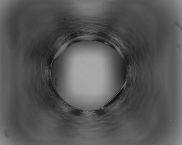 X0000092060333200710101038