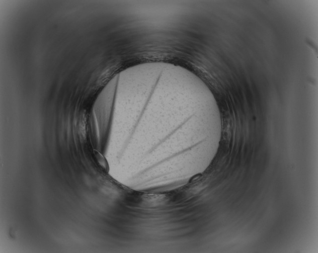 X0000092060334200710101038