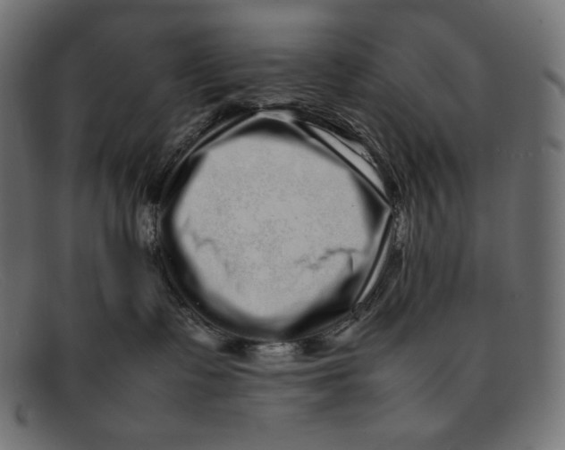 X0000092060335200710101038