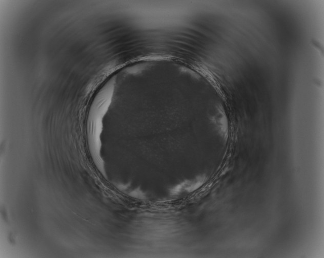 X0000092060337200710101038