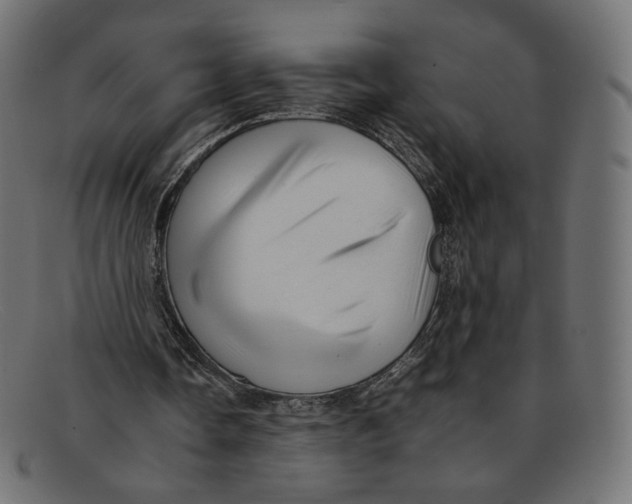 X0000092060338200710101038