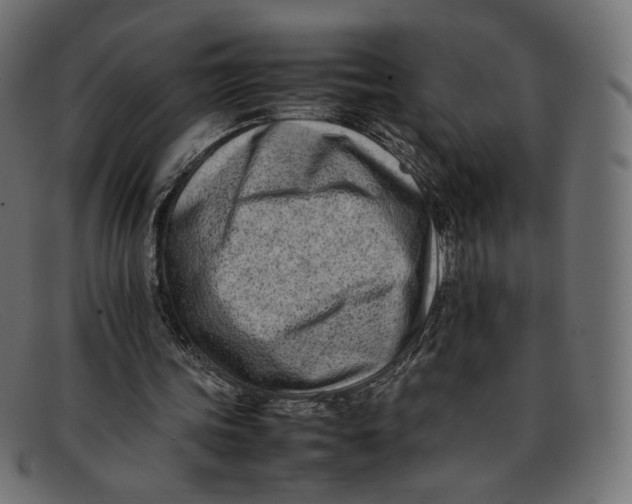 X0000092060339200710101038