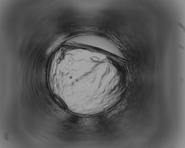 X0000092060341200710101038