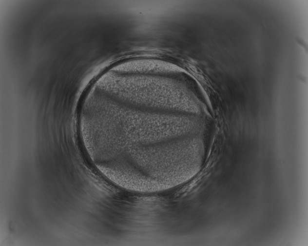 X0000092060342200710101038