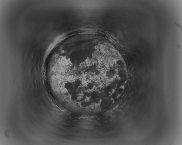 X0000092060343200710101038