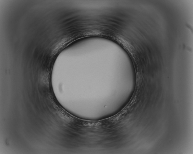 X0000092060345200710101038