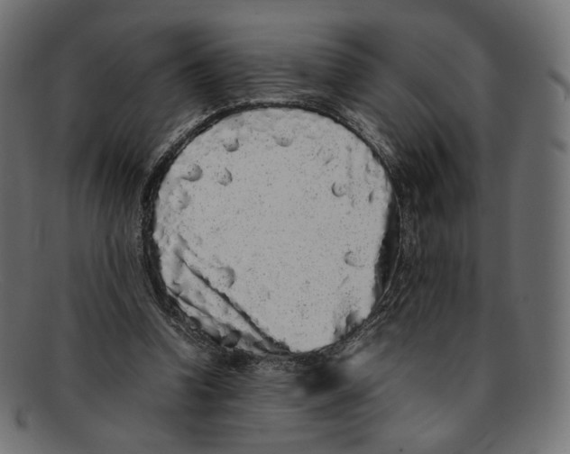 X0000092060346200710101038