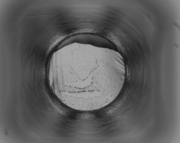 X0000092060348200710101038