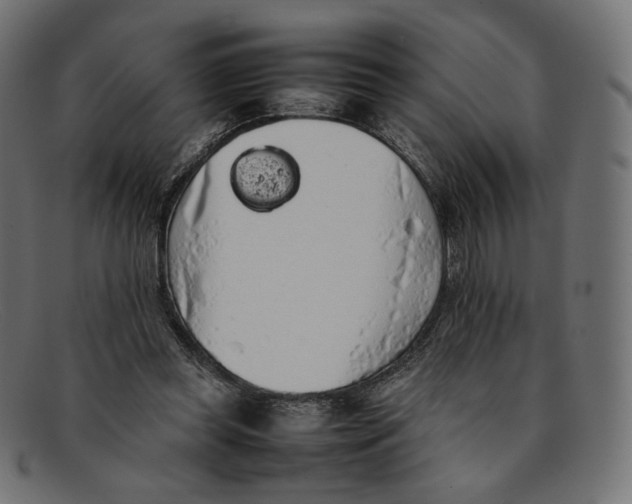 X0000092060349200710101038