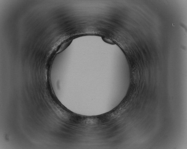 X0000092060350200710101038