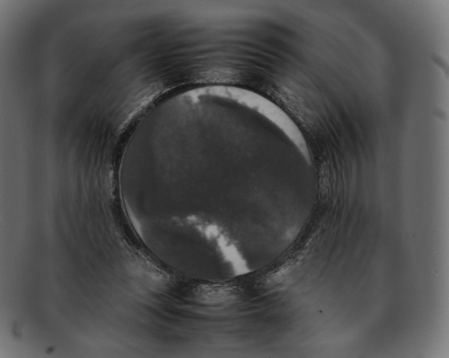 X0000092060351200710101038