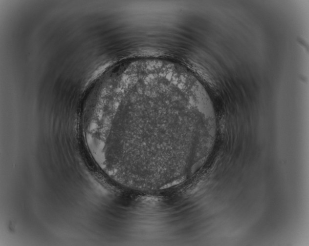 X0000092060352200710101038