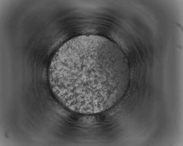 X0000092060353200710101038