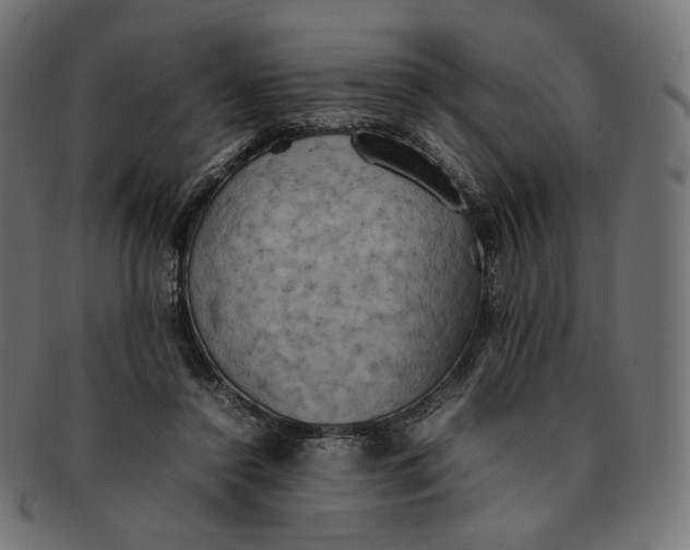 X0000092060356200710101038