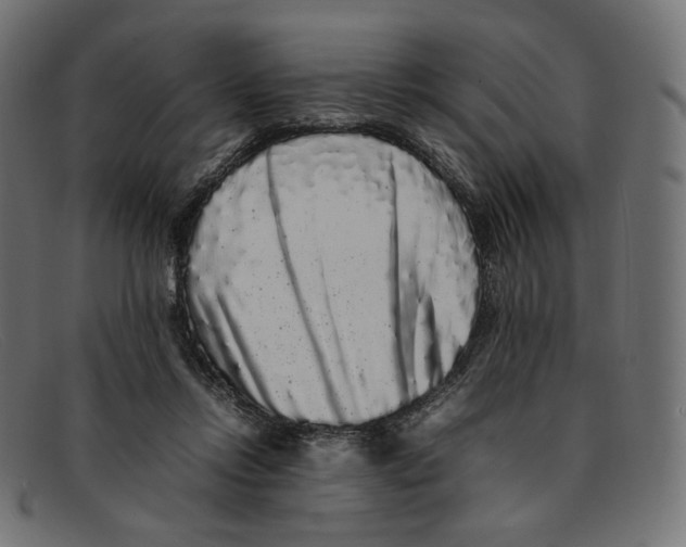 X0000092060358200710101038