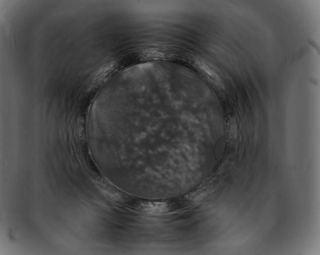 X0000092060361200710101038