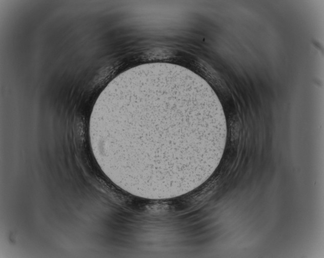 X0000092060362200710101038