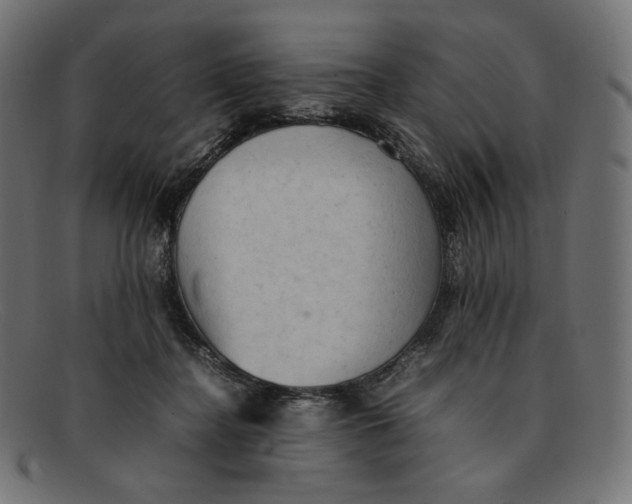 X0000092060364200710101038