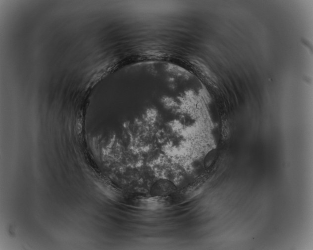 X0000092060365200710101038