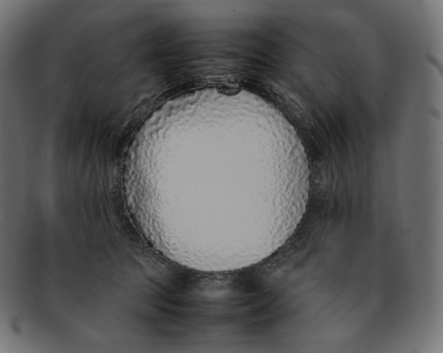 X0000092060369200710101038