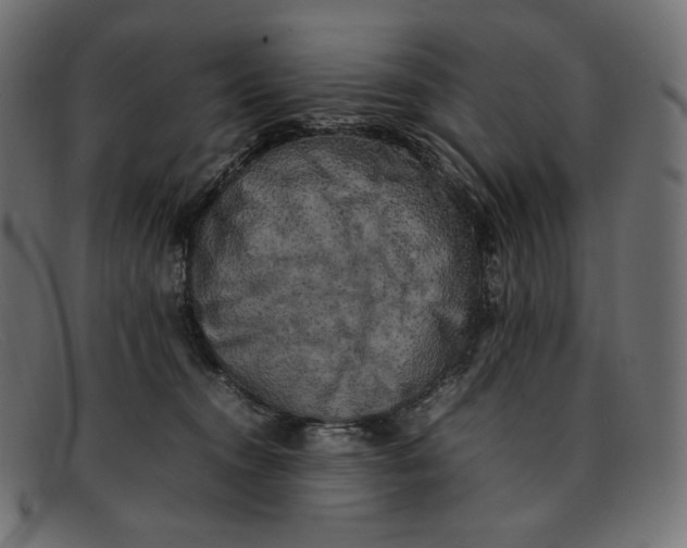 X0000092060372200710101038